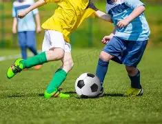 世界杯吉祥,物揭晓,米卢灵感之,ebpay官网下载app,ebpay下载,ebpay官网