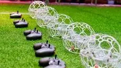 2025YY星动日盛启江门赤坎古镇，演绎新风采