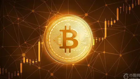 中国乒乓球队精英尽出，力争蝉联冠军