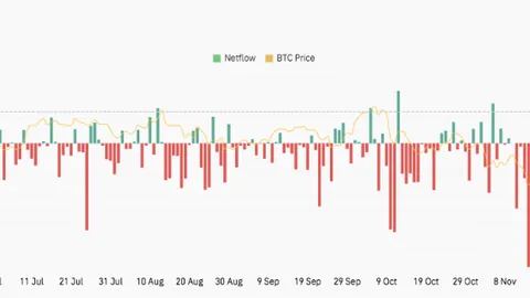 金晨是否符合心中标准？张继科回应：她完全达标